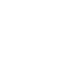 Animation