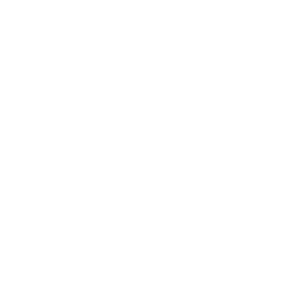 UI/UX Design