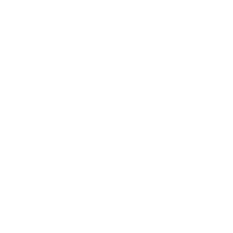 Dapps Development