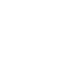 AI & Machine Learning