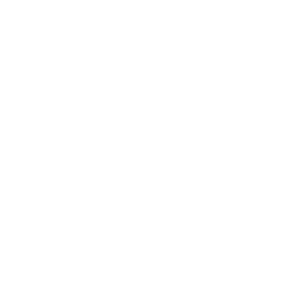 Mobile Application Development