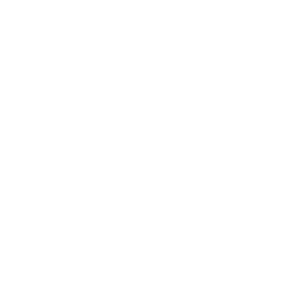Simulation & Visualisation
