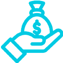 adventages in Monetization Opportunities
